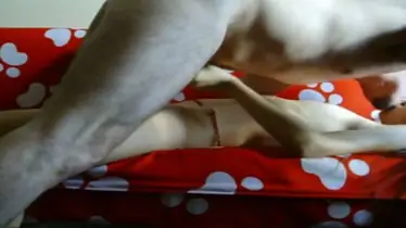 Live ABG Bispak Hotel Bintang Lima Skandal Viral Menggemparkan HD